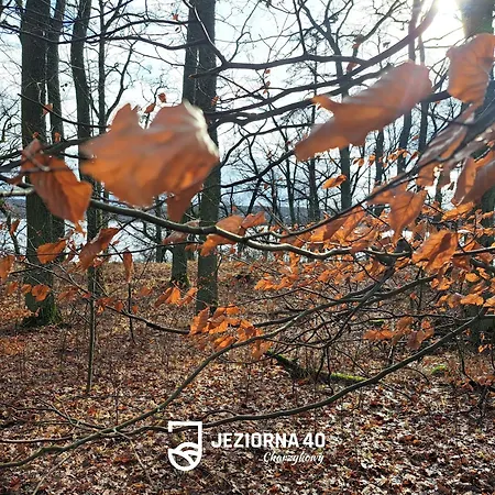 Jeziorna 40 アパート *