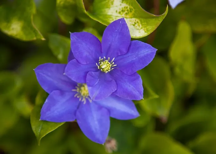 Jeziorna 40 アパート