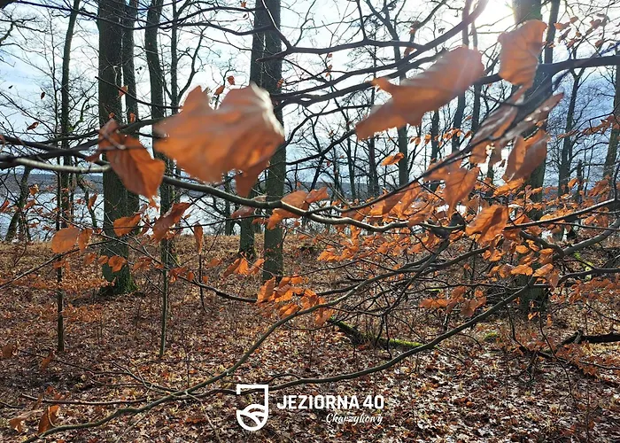 Jeziorna 40 アパート *